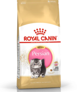 royal canin Persian kitten