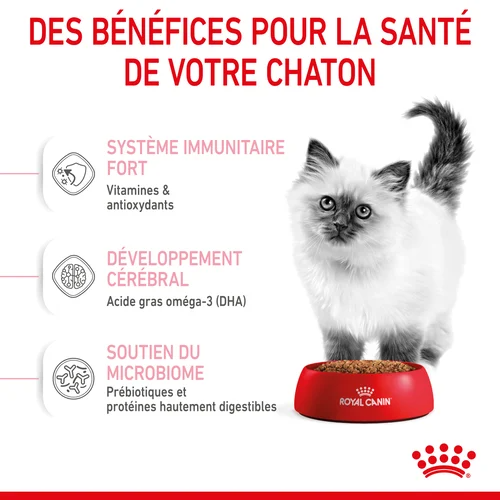 Royal Canin Kitten Sterilised, alimentation pour la croissance des