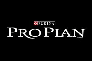Pro Plan