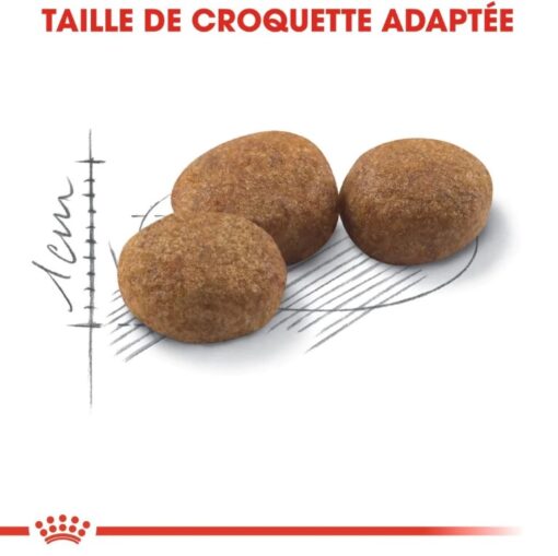 Capture-decran-2022-10-11-171658-510×509 Capture-decran-2022-10-11-171658-510×509