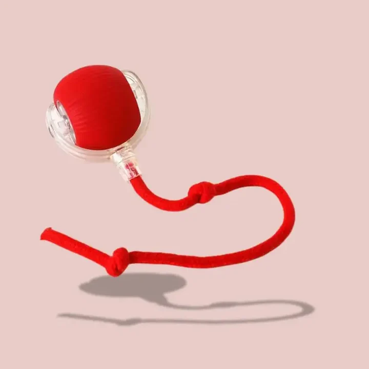 Balle-magique-pour-chat-rouge-Griffe-d_Amour-66938203_1_720x Balle-magique-pour-chat-rouge-Griffe-d_Amour-66938203_1_720x